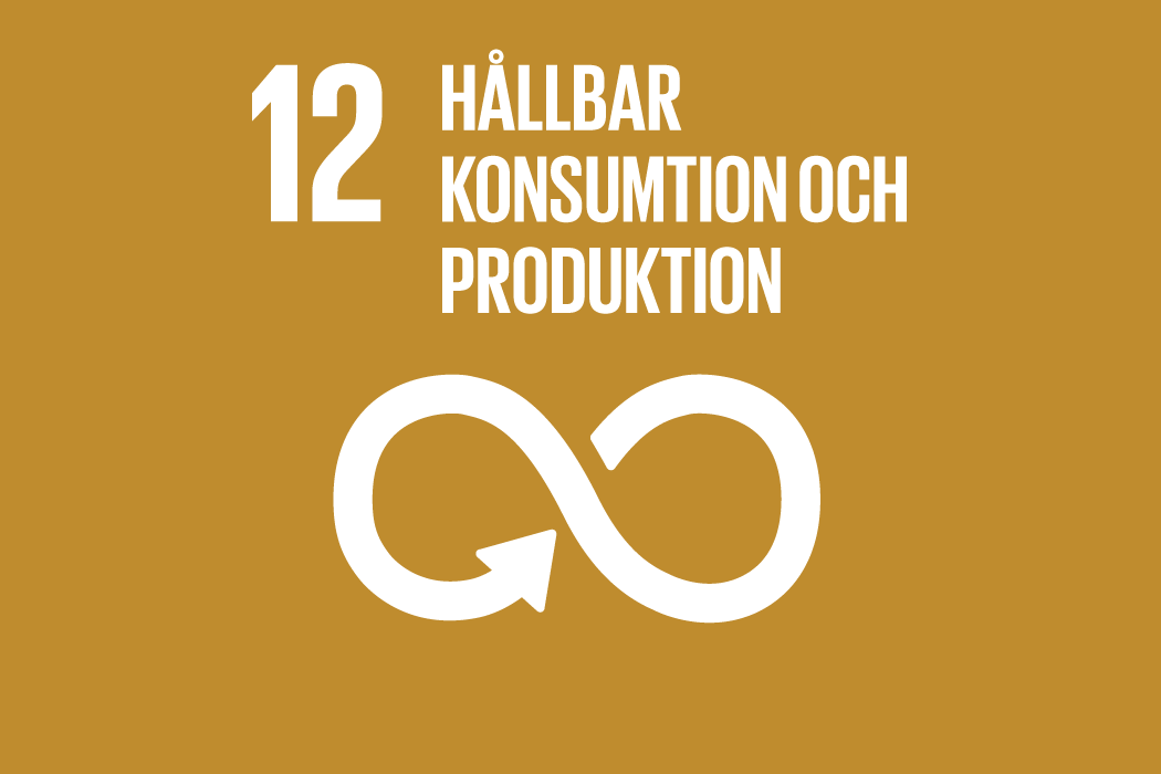 Hållbar konsumtion och produktion, de globala målen nummer 12.