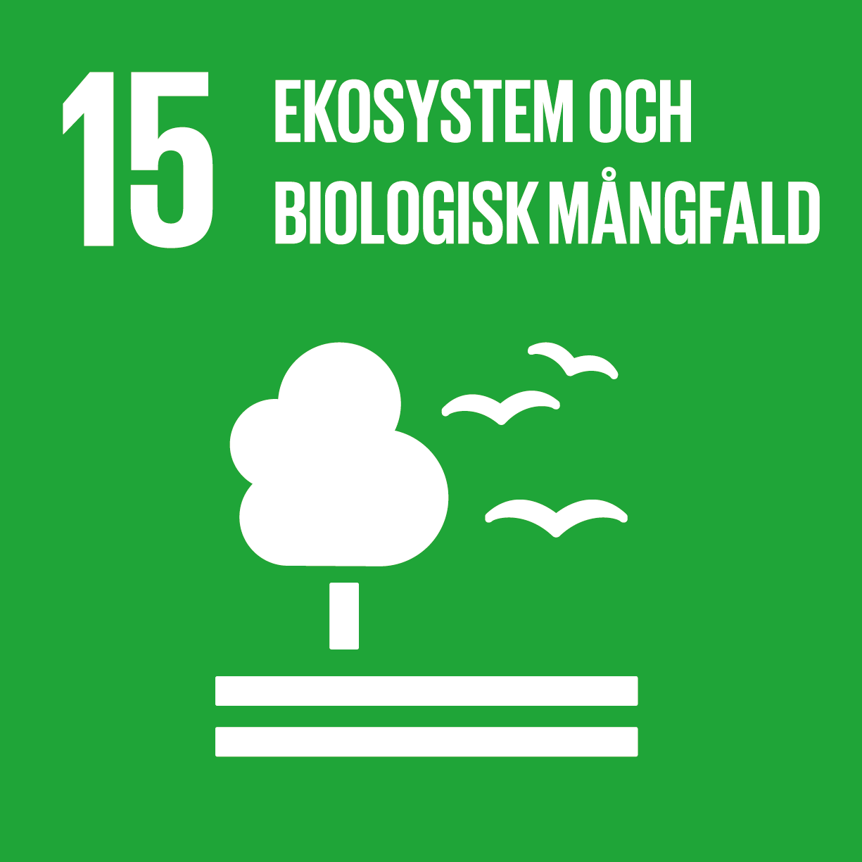 Ekosystem och biologisk mångfald, de globala målen nummer 15.
